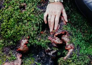 48EF75A7-D8F1-4449-9DE5-78A48E7D033C_1_105_c-300x214