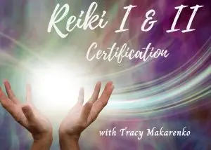 CE1B18C7-2AA2-4F16-B770-A5BFAA719AE7_1_105_c-300x214