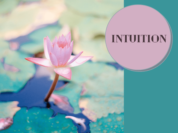 INTUITION-600x450